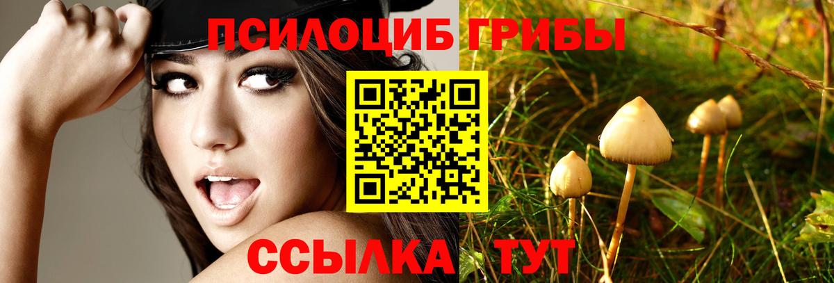 Галлюциногенные грибы мухоморы  Гусев 