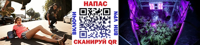 МАРИХУАНА планчик  Гусев 